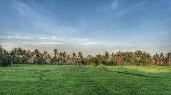 Bali Harmony Villas