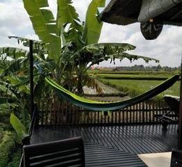 Отель Bali Harmony Villas Индонезия, о Бали, фото 2