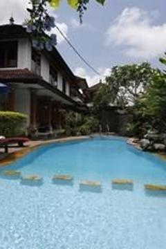Отель Yulia Village Inn Индонезия, о Бали, фото 31