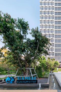 Отель Ramada by Wyndham Bangkok Sukhumvit 87 Таиланд, Бангкок, фото 55