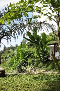 Отель Zenubud Villa Индонезия, о Бали, фото 2