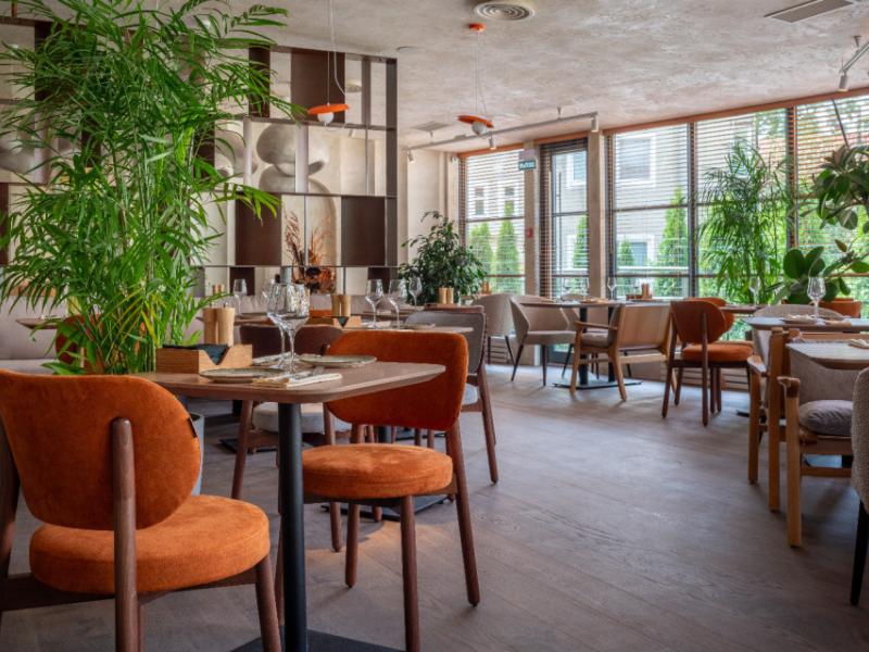 Amber Shore Collection