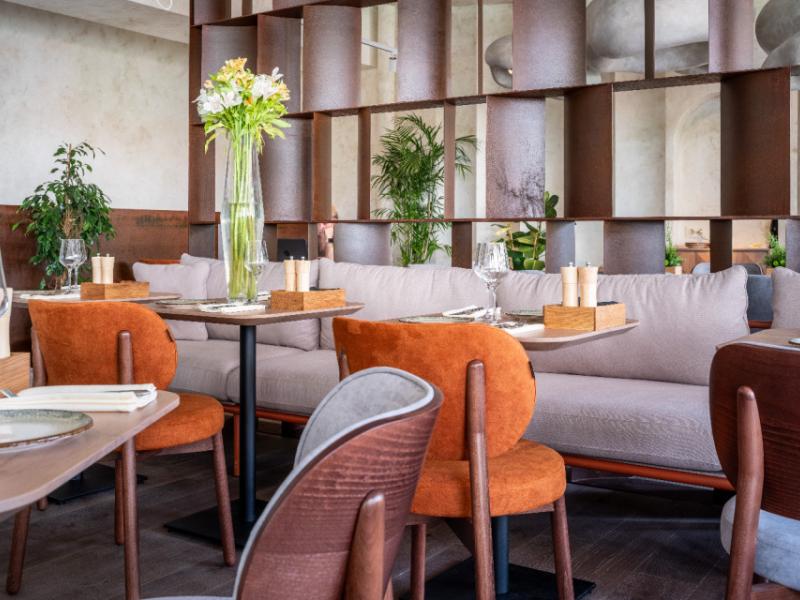 Amber Shore Collection