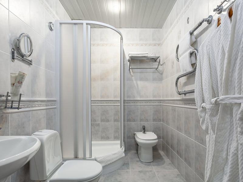 Престиж Отель (Просвещения 163)