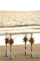 Flamingo Beach Resort