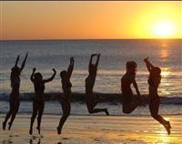 Flamingo Beach Resort