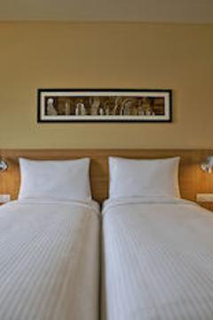 Отель Ibis Mumbai Airport Индия, Мумбаи (Бомбей), фото 22