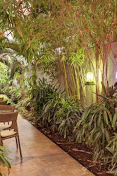 Отель Ibis Mumbai Airport Индия, Мумбаи (Бомбей), фото 42