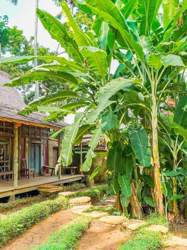 Bambu Indah Resort