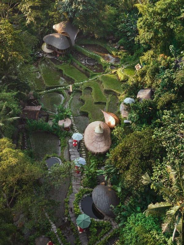 Bambu Indah Resort
