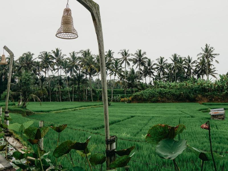 Om Ham Retreat & Resort