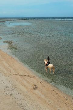 Отель Cocana Resorts Gili Trawangan Индонезия, о Ломбок, фото 31