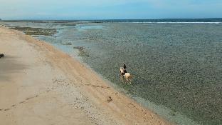 Cocana Resorts Gili Trawangan