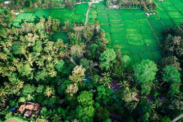 Отель Pramana Giri Kusuma Индонезия, о Бали, фото 26