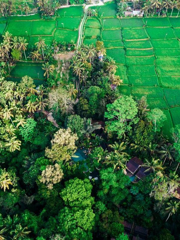 Pramana Giri Kusuma
