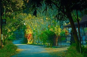 Отель Fullmoon Villa Ubud Индонезия, о Бали, фото 12
