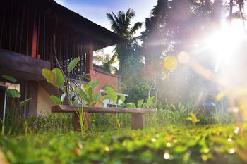 Отель Fullmoon Villa Ubud Индонезия, о Бали, фото 15