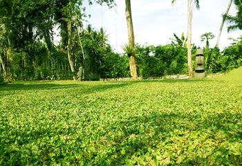 Отель Fullmoon Villa Ubud Индонезия, о Бали, фото 25