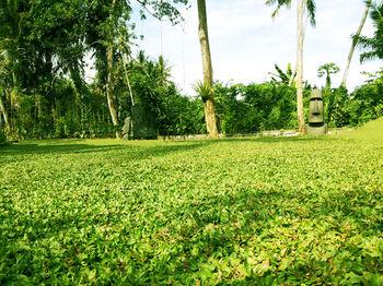 Fullmoon Villa Ubud