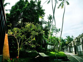 Fullmoon Villa Ubud
