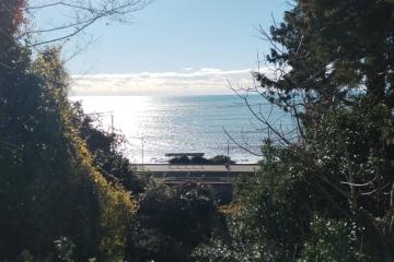 Отель Anchor Villa Россия, Сочи, фото 3