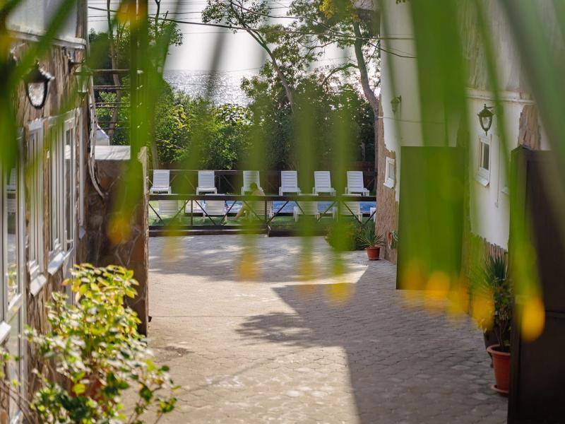 Максим Парк-Лоо