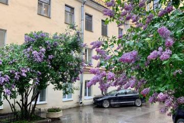 Отель На Речке Россия, Санкт-Петербург, фото 1