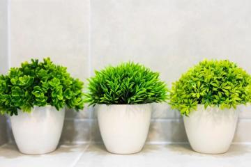 Отель SilverPeak Россия, Сочи, фото 34