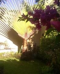 Отель Villa Tara Hikkaduwa Шри-Ланка, Хиккадува, фото 15