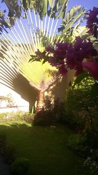Villa Tara Hikkaduwa