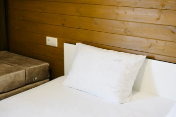 Отель Lion Эко-отель Абхазия, Пицунда, фото 6