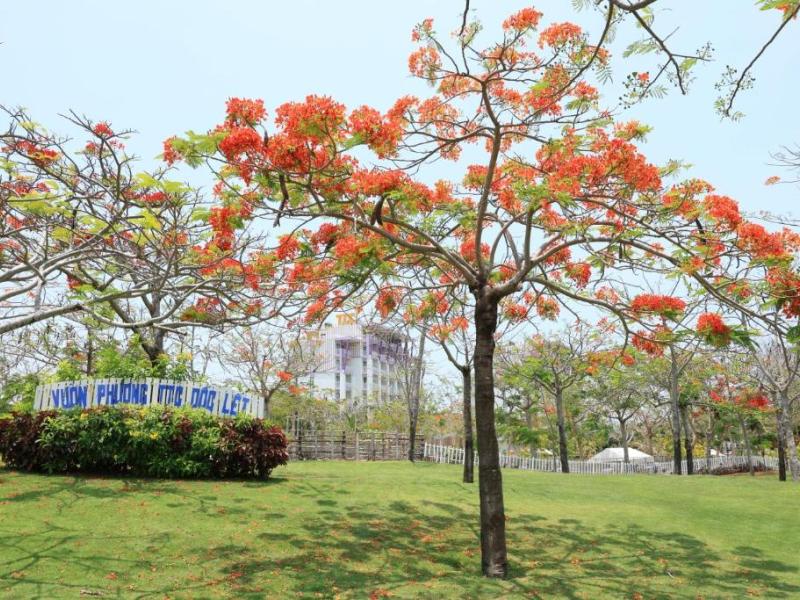 TTC Resort Van Phong Bay