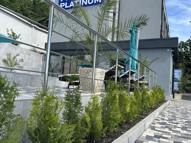 RentaSfera Ashe Platinum