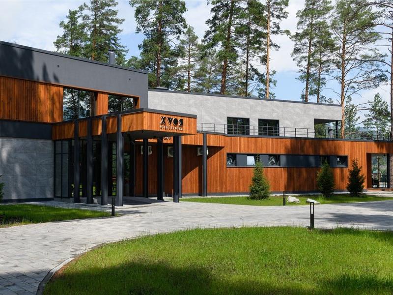 Хвоя в горах