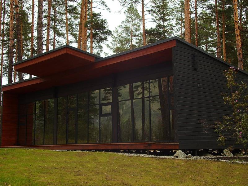 Хвоя в горах