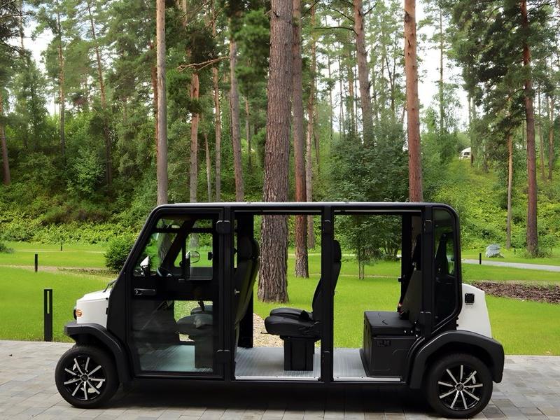 Хвоя в горах