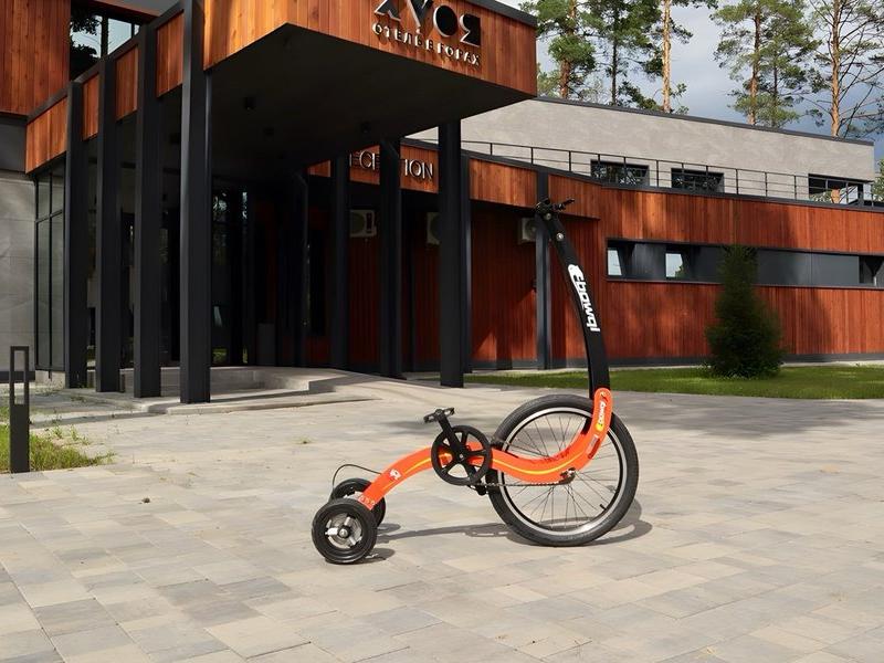 Хвоя в горах