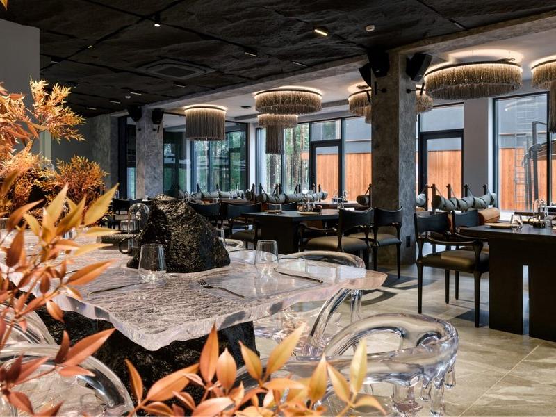 Хвоя в горах