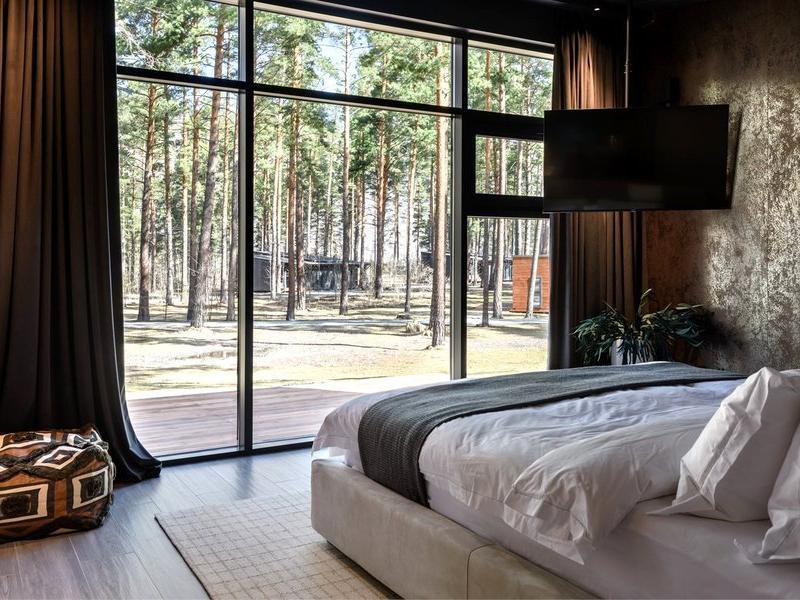 Хвоя в горах