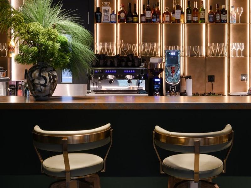 Хвоя в горах