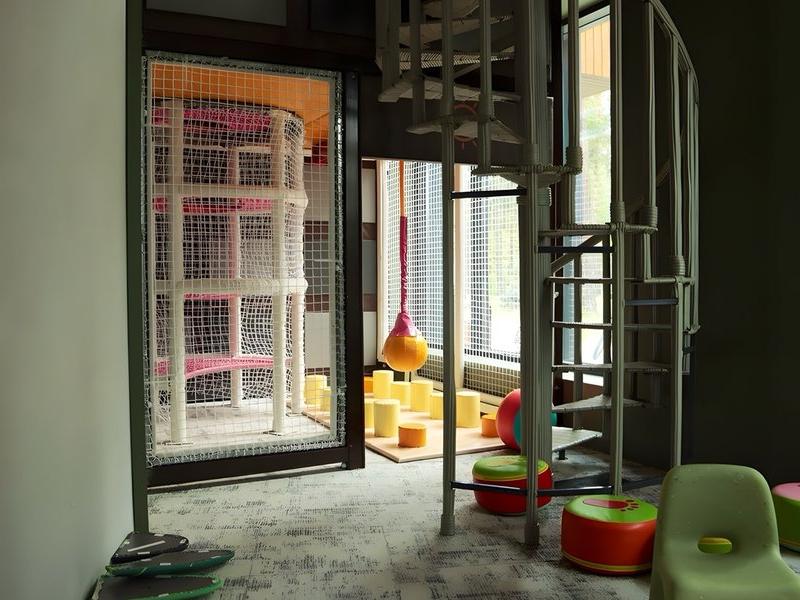 Хвоя в горах