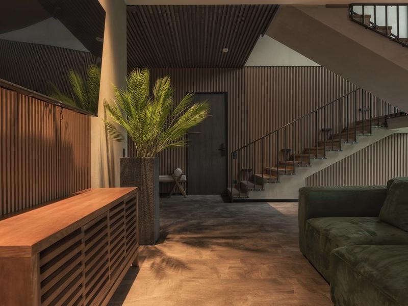 Хвоя в горах