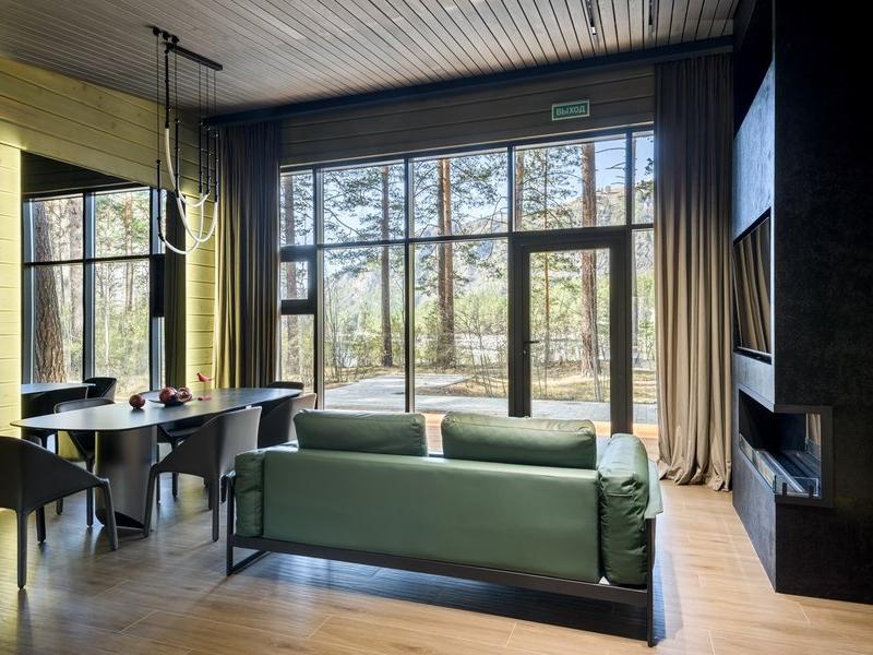 Хвоя в горах