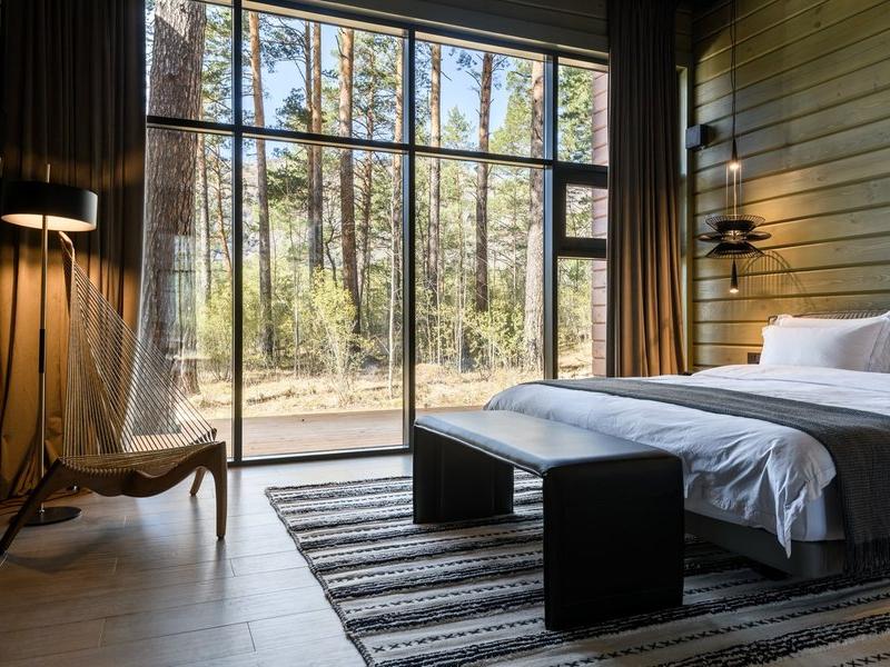 Хвоя в горах