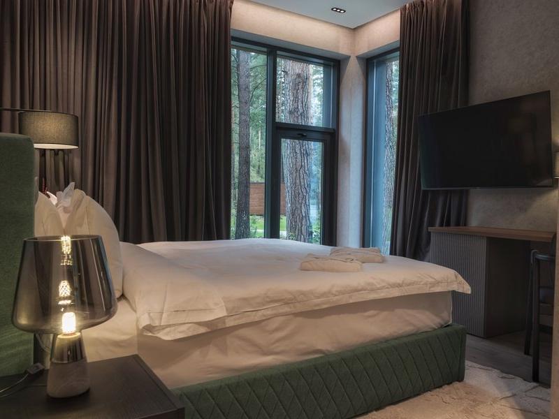 Хвоя в горах