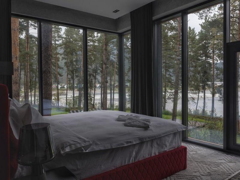 Хвоя в горах