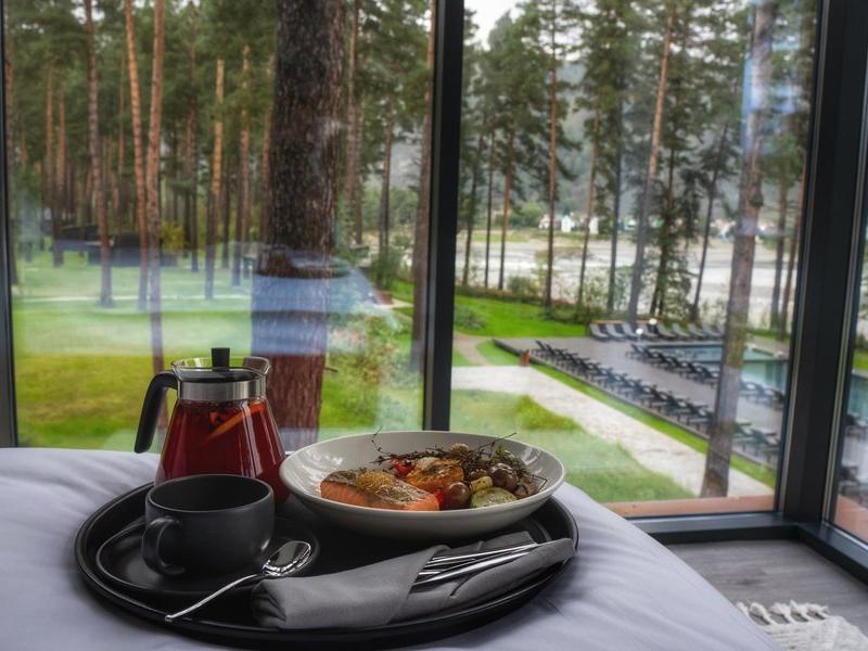 Хвоя в горах