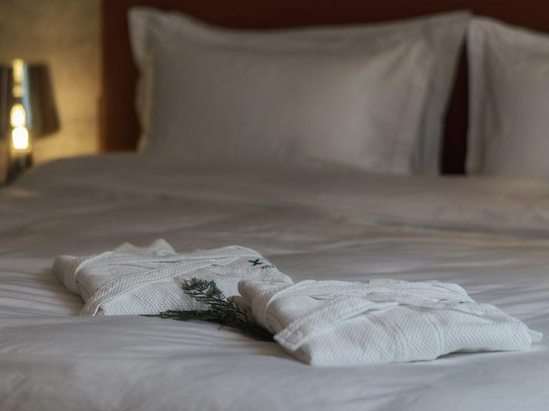 Хвоя в горах