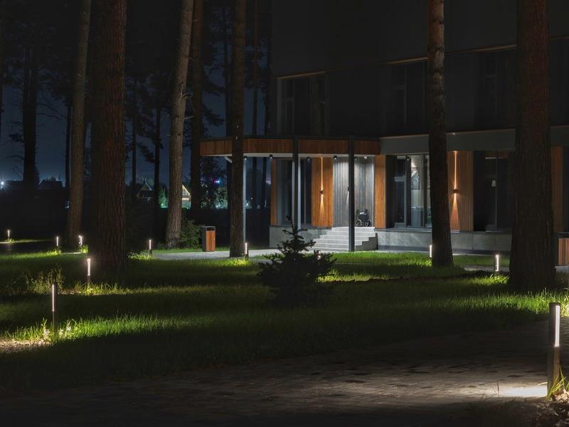 Хвоя в горах