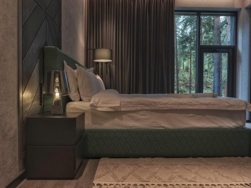 Хвоя в горах